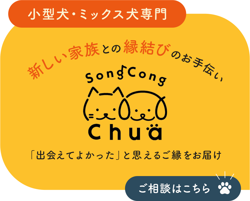かけがえのない出会いをお届け